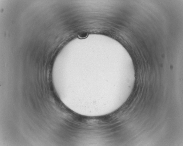 X0000088220268200706051330