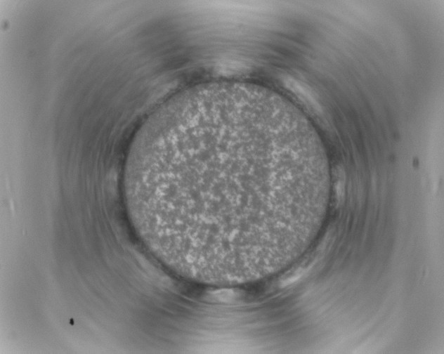 X0000088220269200706051330