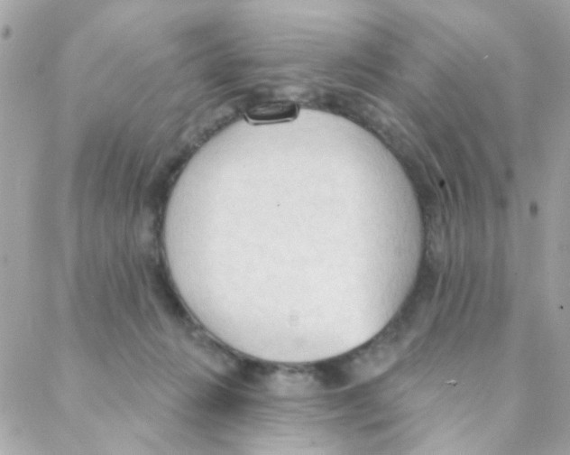 X0000088220270200706051330