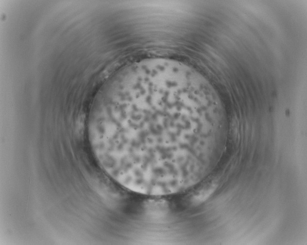 X0000088220271200706051330