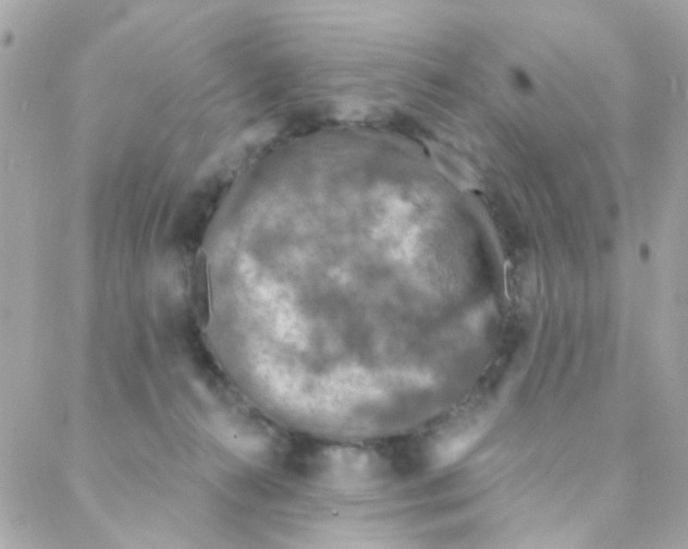 X0000088220272200706051330