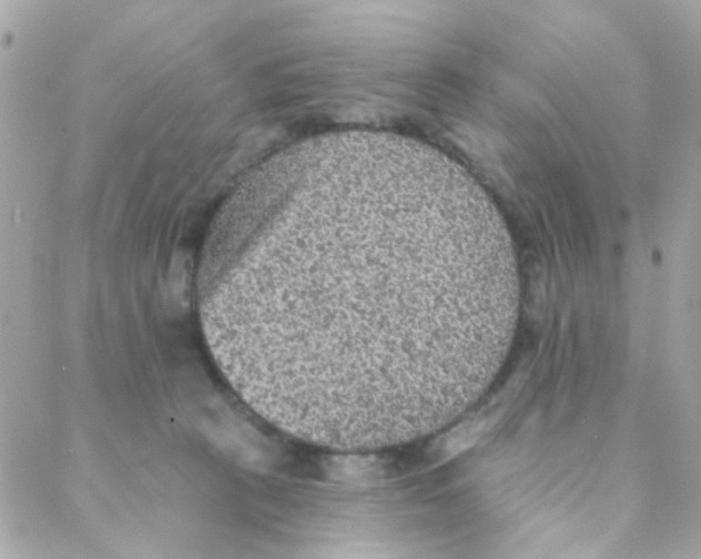 X0000088220273200706051330