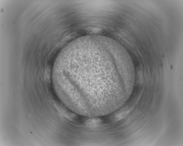 X0000088220274200706051330