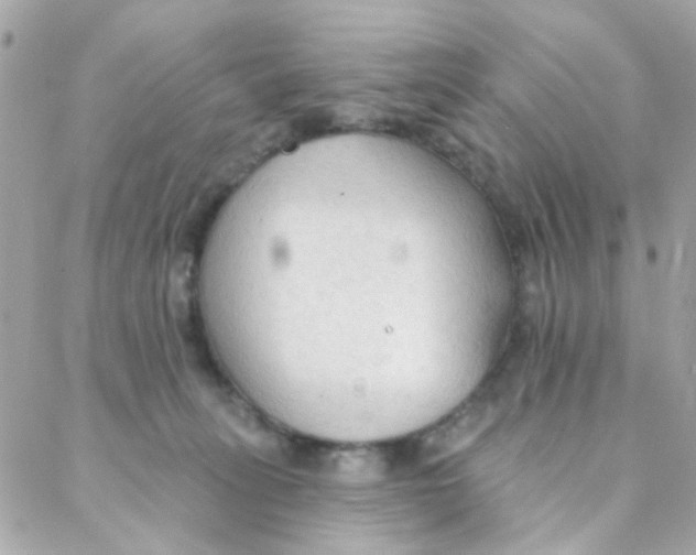 X0000088220275200706051330