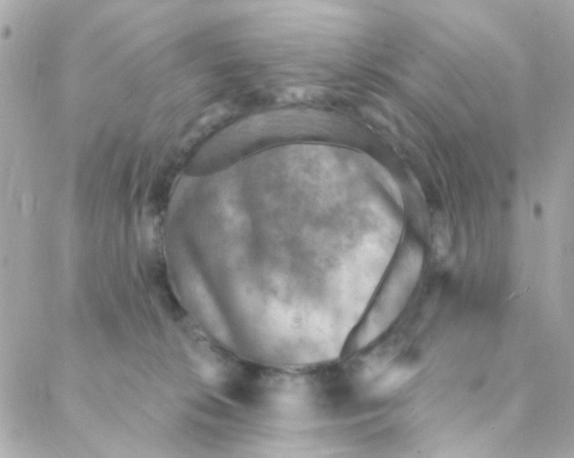 X0000088220276200706051330