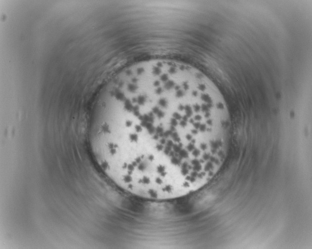 X0000088220277200706051330