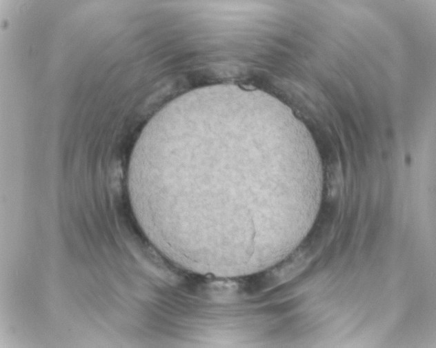 X0000088220279200706051330