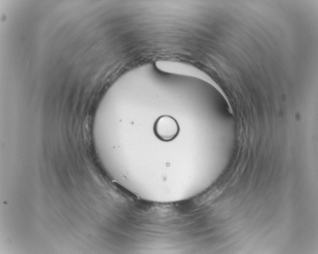 X0000088220280200706051330