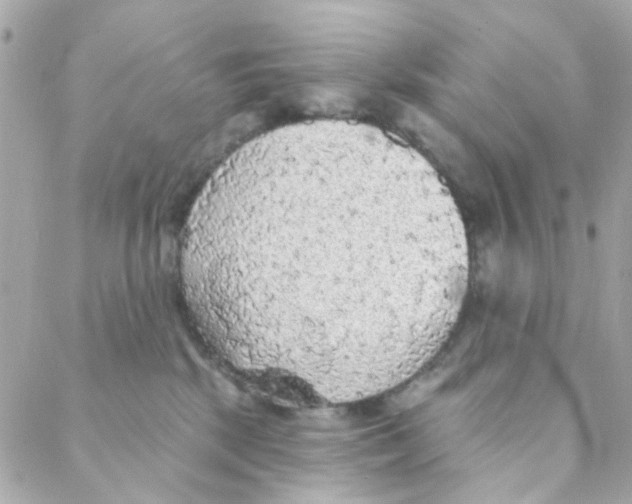 X0000088220281200706051330