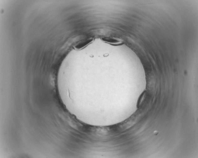 X0000088220282200706051330