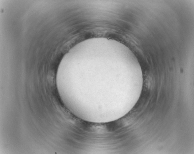 X0000088220283200706051330