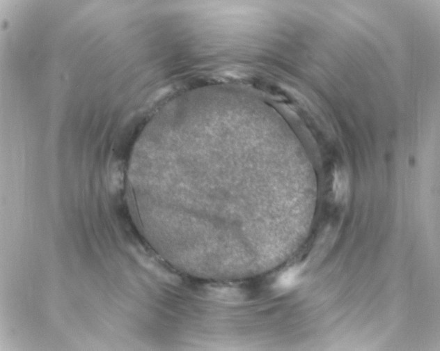 X0000088220284200706051330