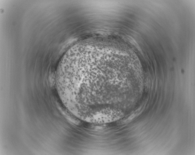 X0000088220285200706051330