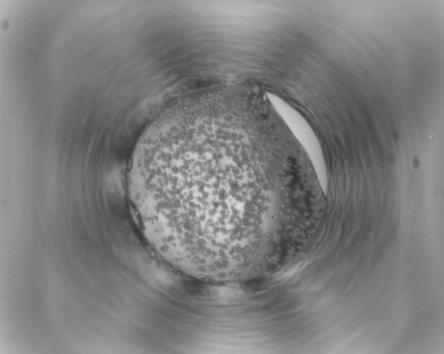 X0000088220286200706051330