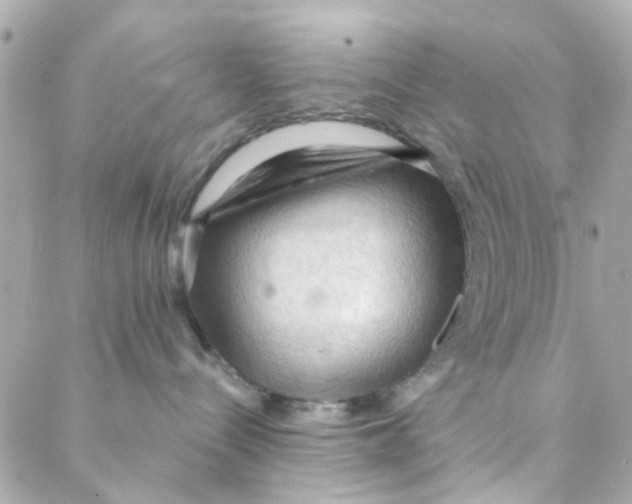 X0000088220288200706051330