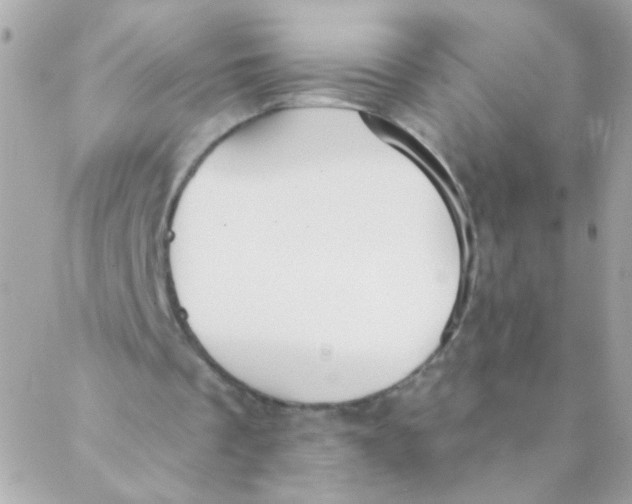 X0000088220289200706051329