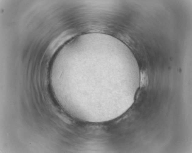 X0000088220291200706051329