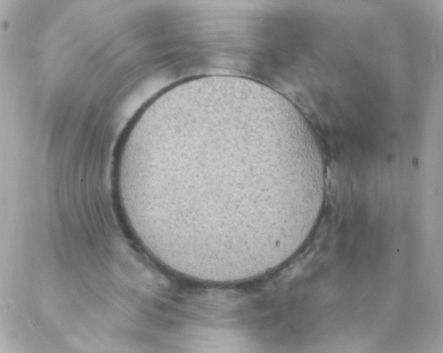 X0000088220292200706051329