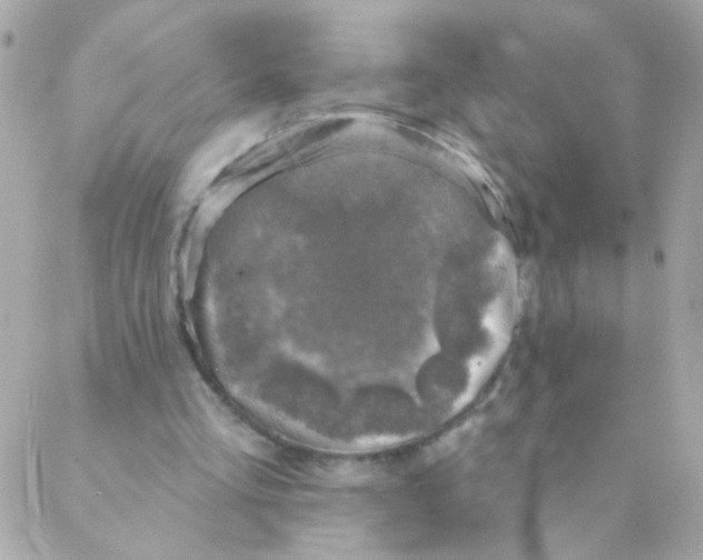 X0000088220293200706051329