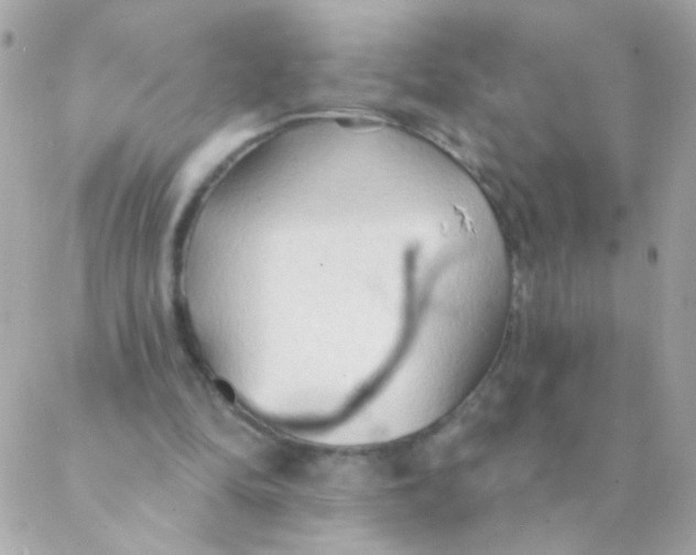 X0000088220294200706051329