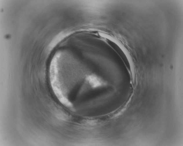 X0000088220295200706051329