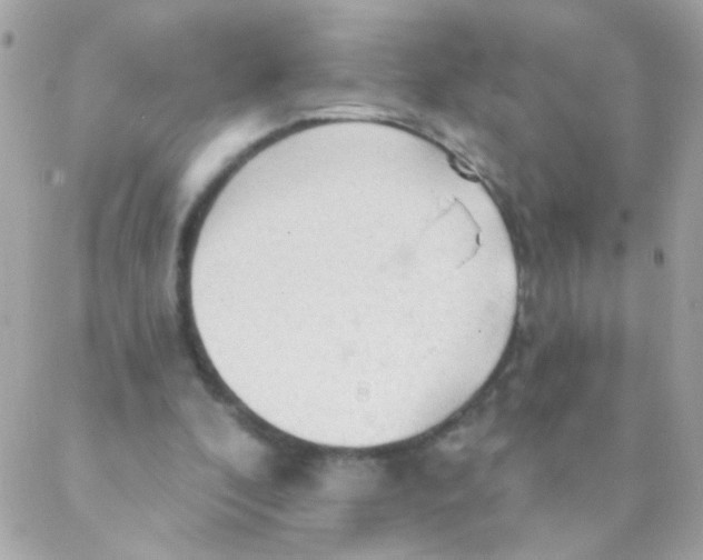 X0000088220296200706051329