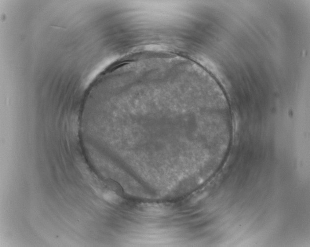 X0000088220297200706051329