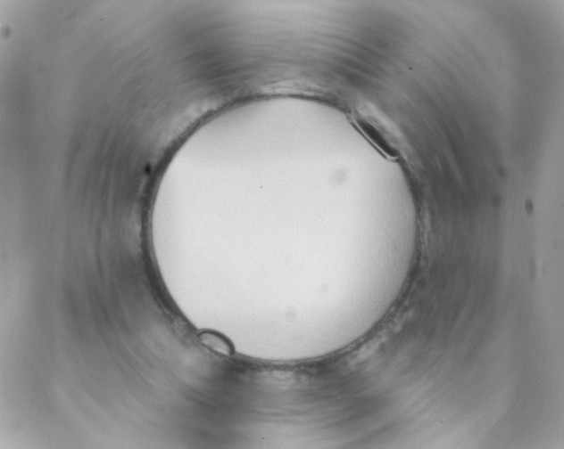 X0000088220298200706051329