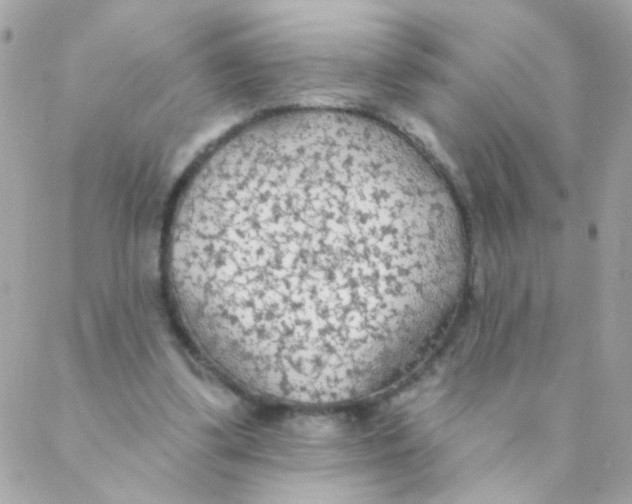 X0000088220299200706051329