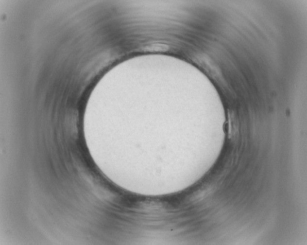 X0000088220300200706051329