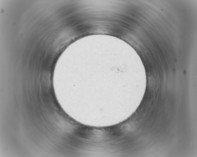 X0000088220302200706051329