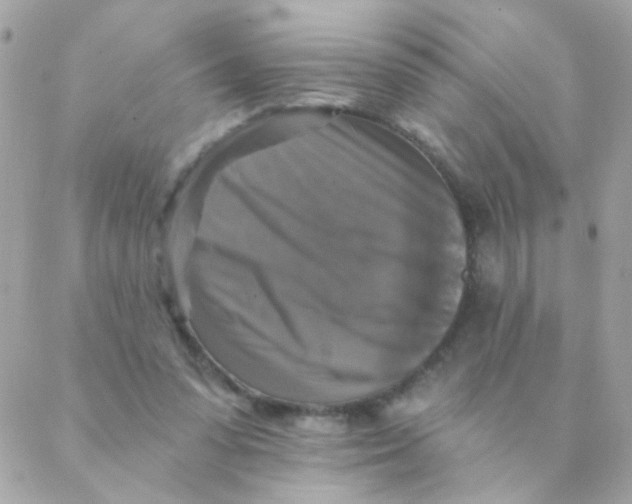 X0000088220303200706051329