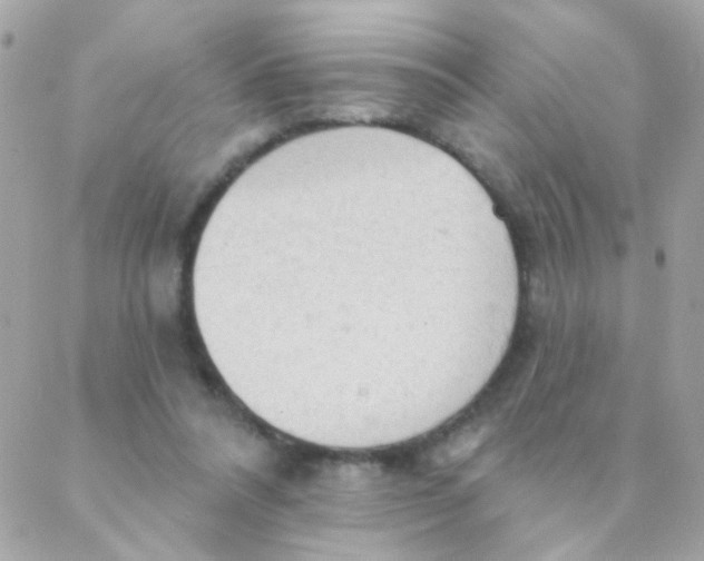 X0000088220304200706051329