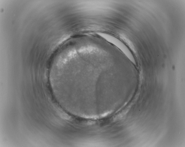 X0000088220305200706051329