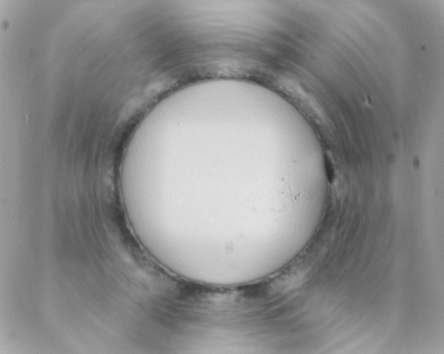 X0000088220306200706051329