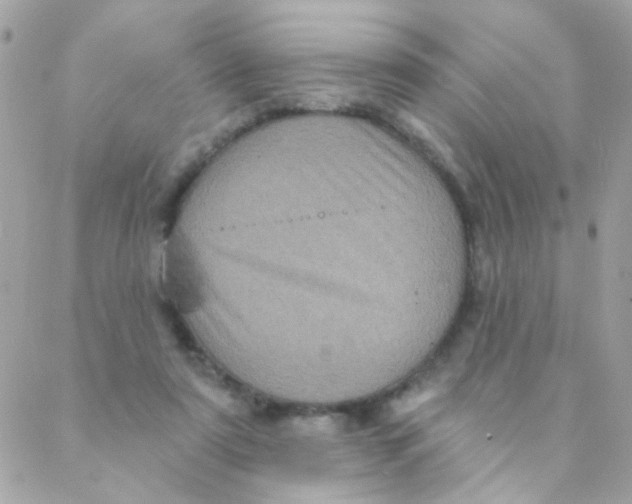 X0000088220307200706051329