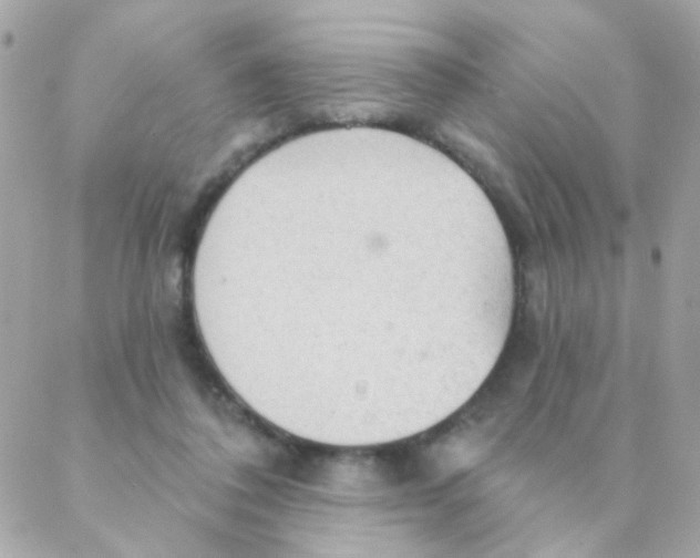 X0000088220308200706051329