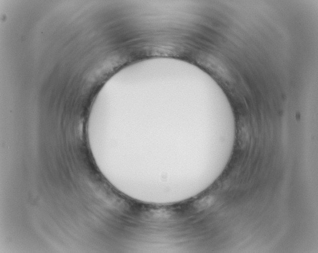 X0000088220310200706051329