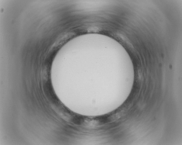 X0000088220311200706051329