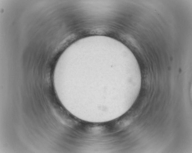 X0000088220312200706051329