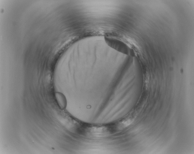 X0000088220314200706051329