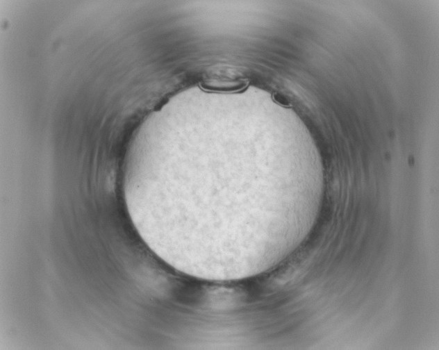 X0000088220315200706051329