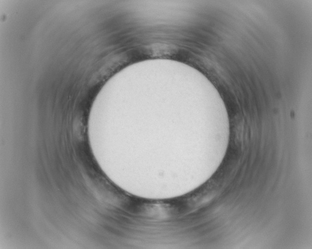 X0000088220316200706051329