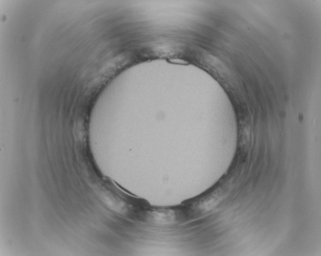 X0000088220317200706051329