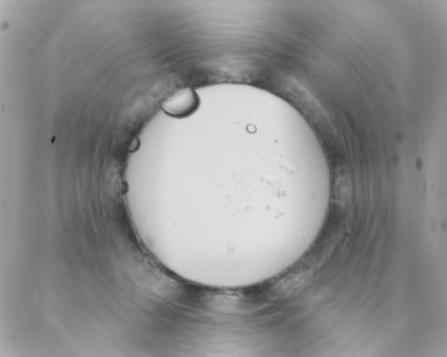 X0000088220318200706051329