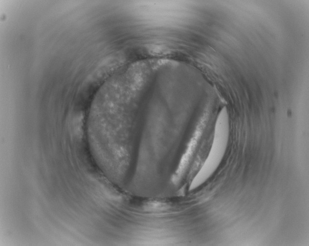 X0000088220319200706051329