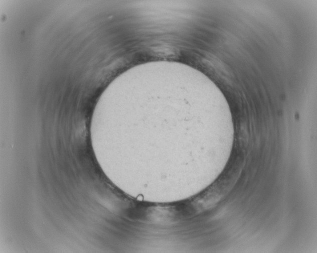 X0000088220320200706051329