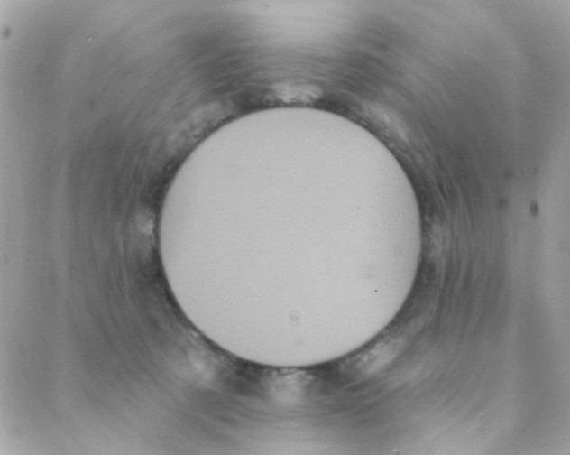 X0000088220321200706051329