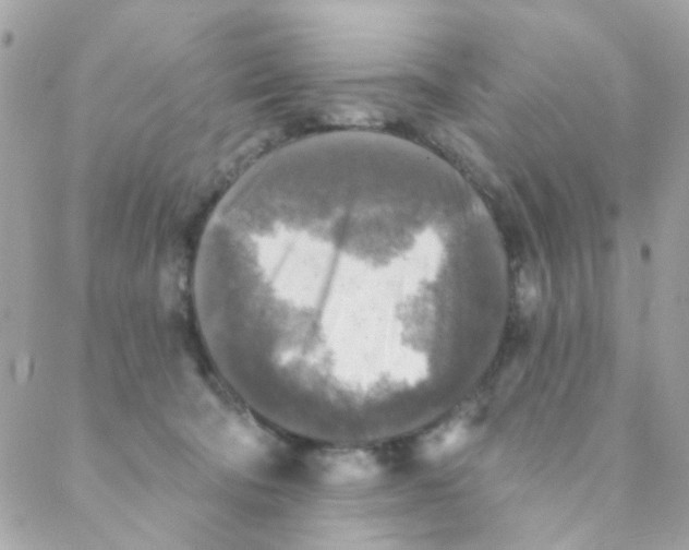 X0000088220322200706051329