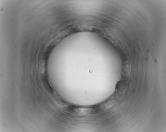 X0000088220323200706051329